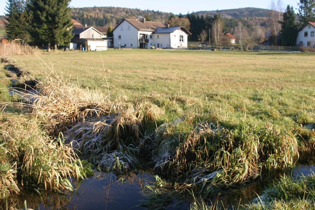 Apartamento Haus Am Treffenbach Waldmünchen Exterior foto